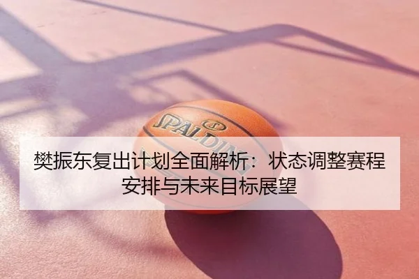 樊振东复出计划全面解析：状态调整赛程安排与未来目标展望