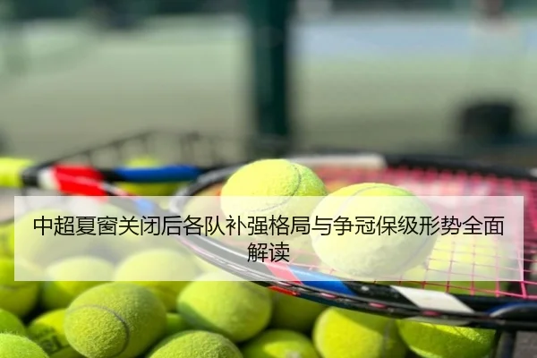 中超夏窗关闭后各队补强格局与争冠保级形势全面解读