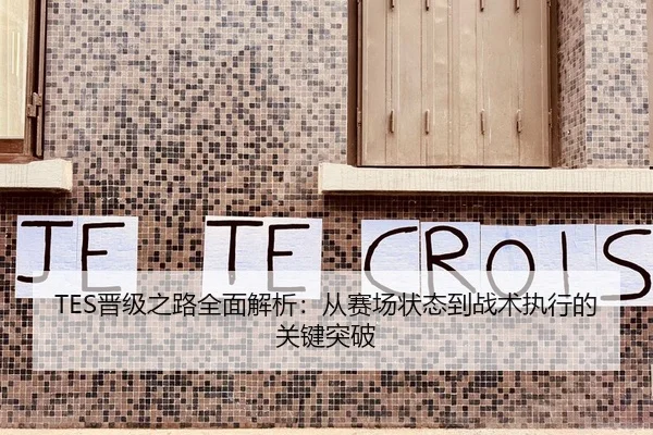TES晋级之路全面解析：从赛场状态到战术执行的关键突破