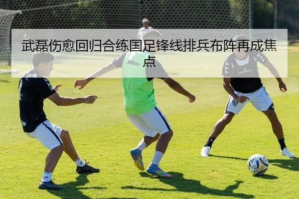 武磊伤愈回归合练国足锋线排兵布阵再成焦点